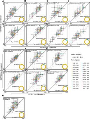 Somatostatin Receptor 2: A Potential Predictive Biomarker for Immune Checkpoint Inhibitor Treatment